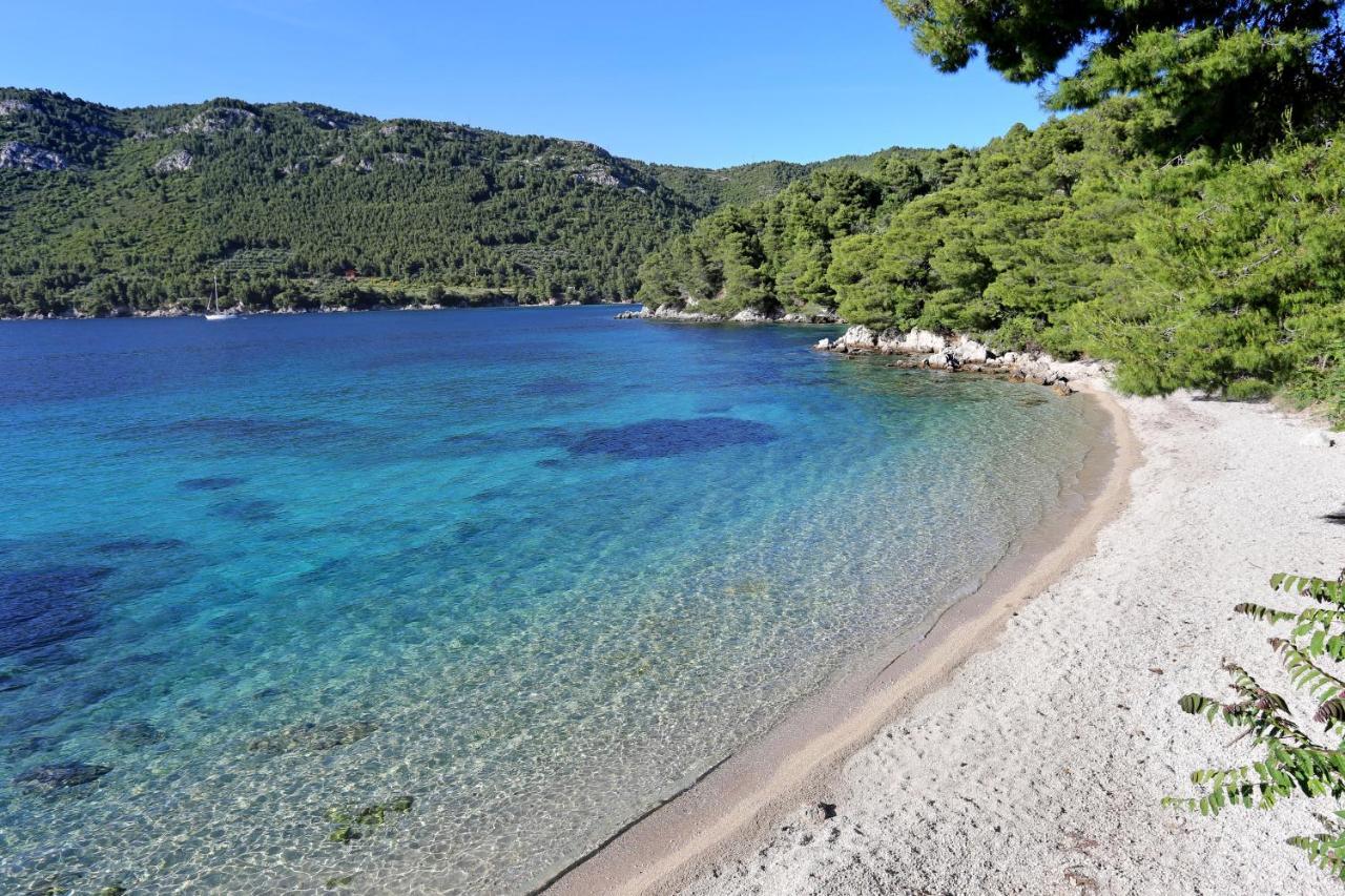 Apartments With A Parking Space Zuljana, Peljesac - 4573 Kültér fotó